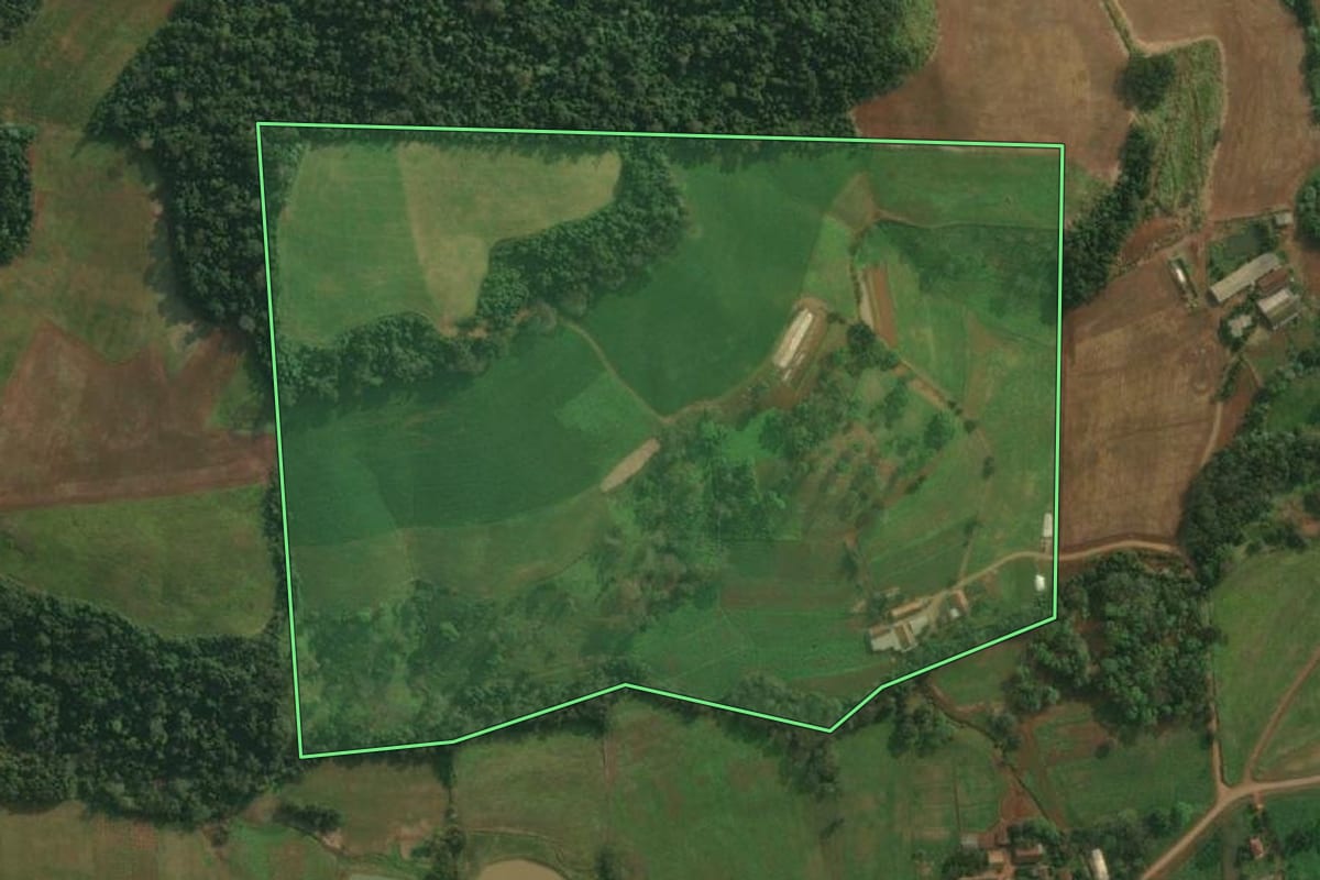 Imagem de satélite do imóvel rural em São João do Oeste (SC), com o contorno declarado no CAR desenhado por cima.