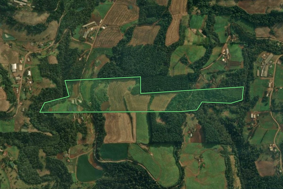 Imagem de satélite do imóvel rural em São João do Oeste (SC), com o contorno declarado no CAR desenhado por cima.