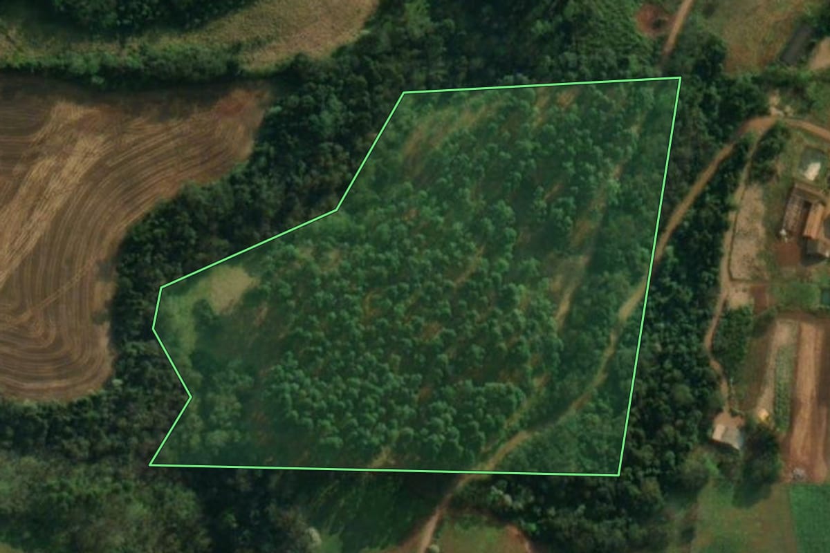 Imagem de satélite do imóvel rural em São João do Oeste (SC), com o contorno declarado no CAR desenhado por cima.