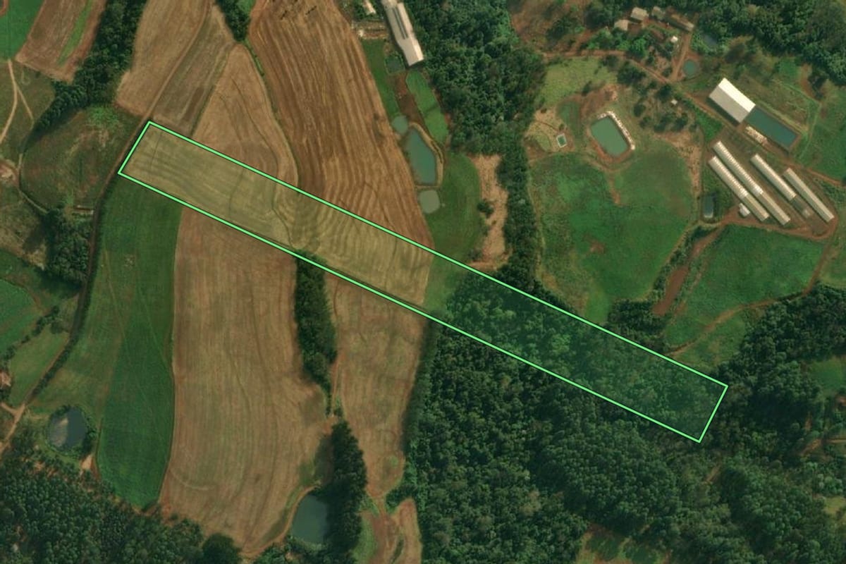Imagem de satélite do imóvel rural em São João do Oeste (SC), com o contorno declarado no CAR desenhado por cima.