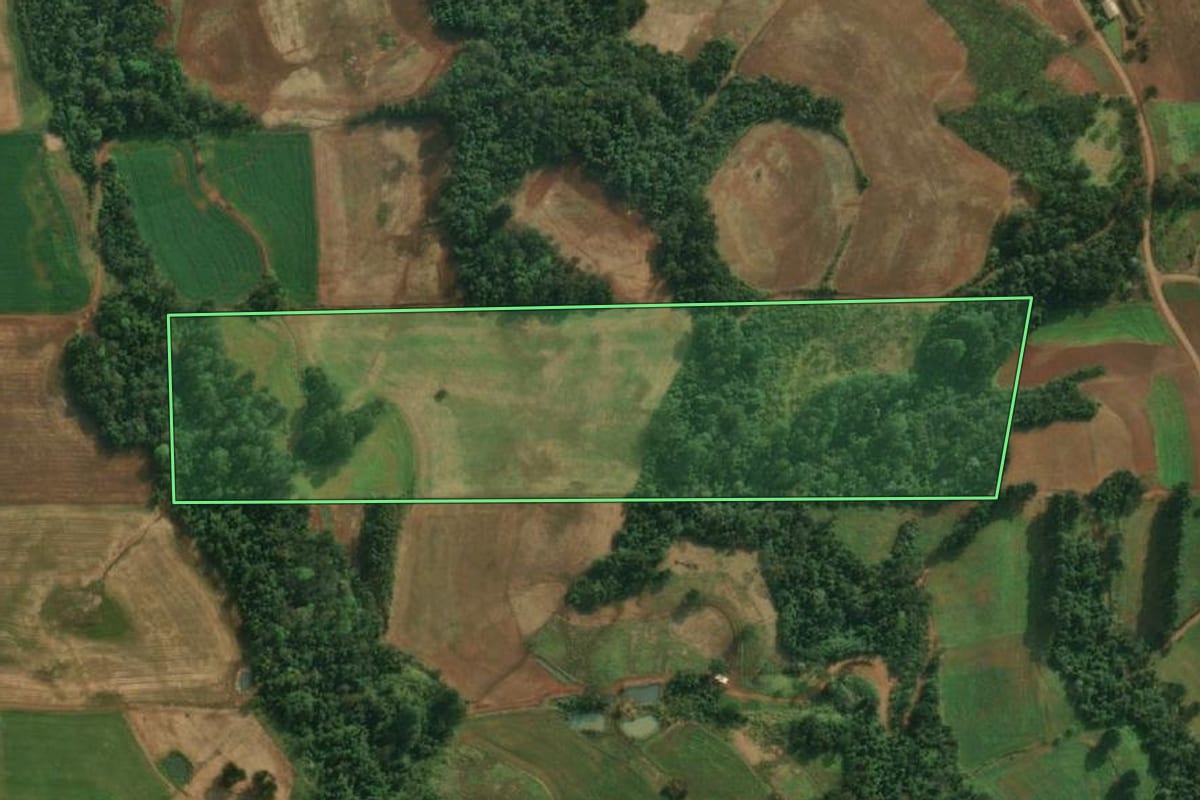 Imagem de satélite do imóvel rural em São João do Oeste (SC), com o contorno declarado no CAR desenhado por cima.