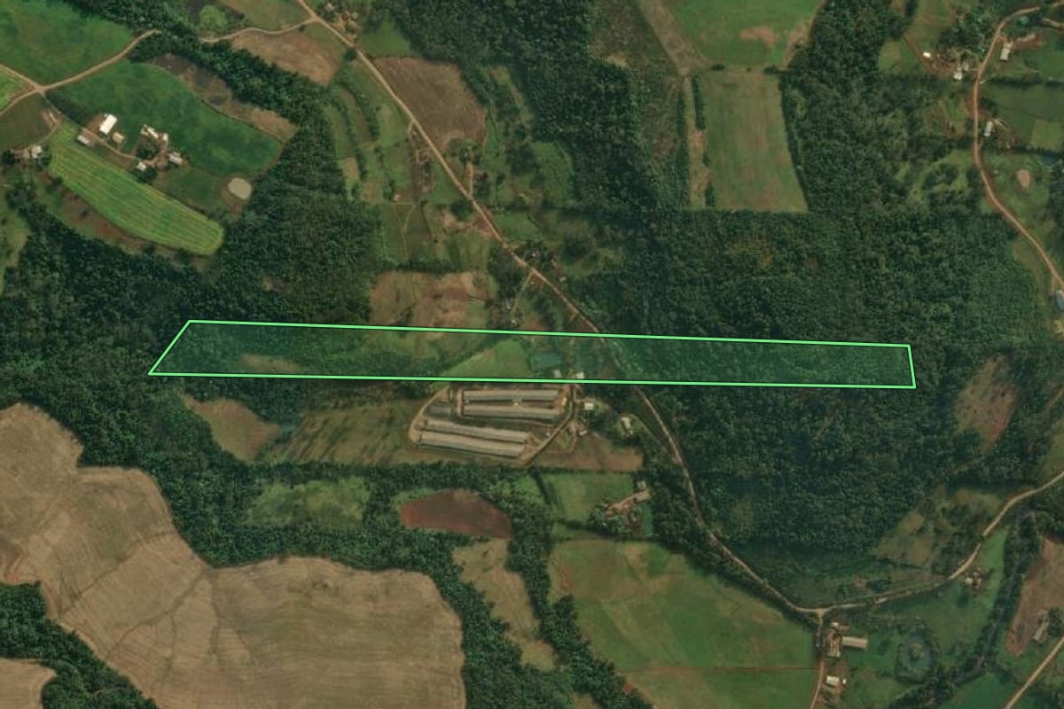 Imagem de satélite do imóvel rural em São João do Oeste (SC), com o contorno declarado no CAR desenhado por cima.