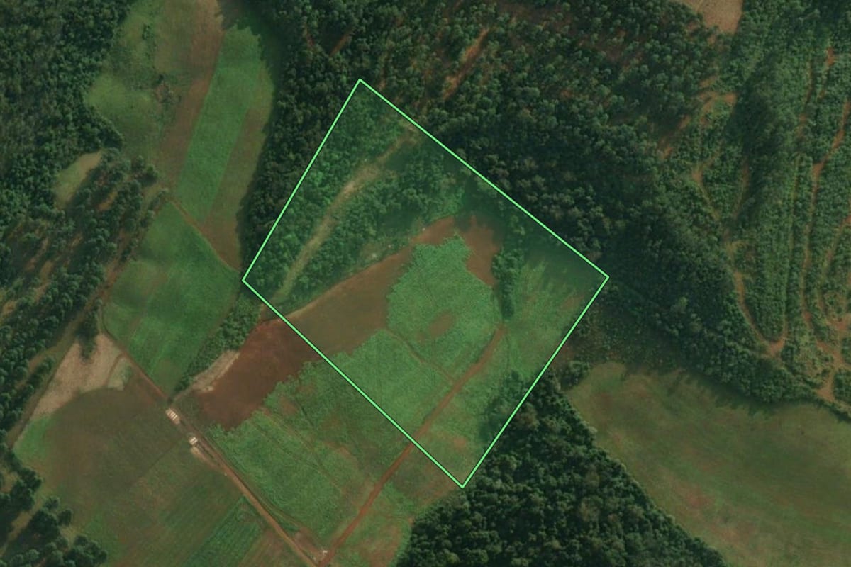 Imagem de satélite do imóvel rural em São João do Oeste (SC), com o contorno declarado no CAR desenhado por cima.
