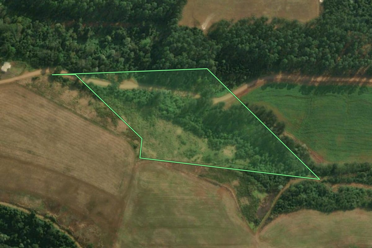 Imagem de satélite do imóvel rural em São João do Oeste (SC), com o contorno declarado no CAR desenhado por cima.