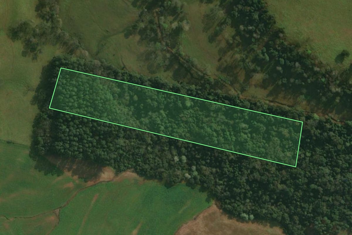 Imagem de satélite do imóvel rural em São João do Oeste (SC), com o contorno declarado no CAR desenhado por cima.