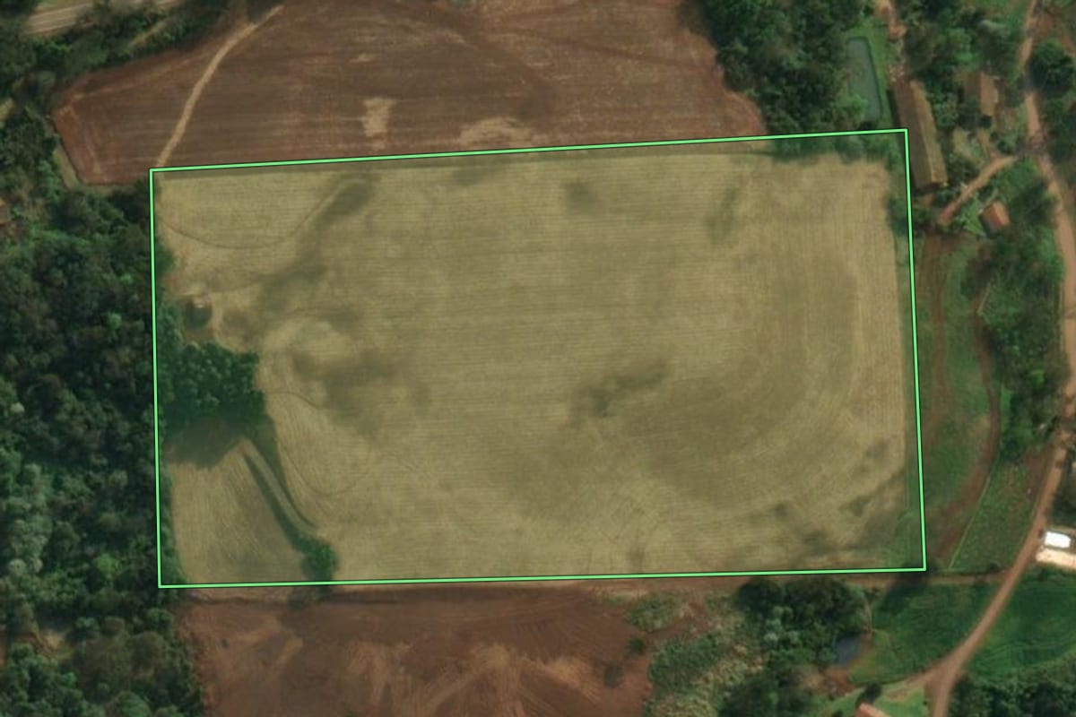 Imagem de satélite do imóvel rural em São João do Oeste (SC), com o contorno declarado no CAR desenhado por cima.