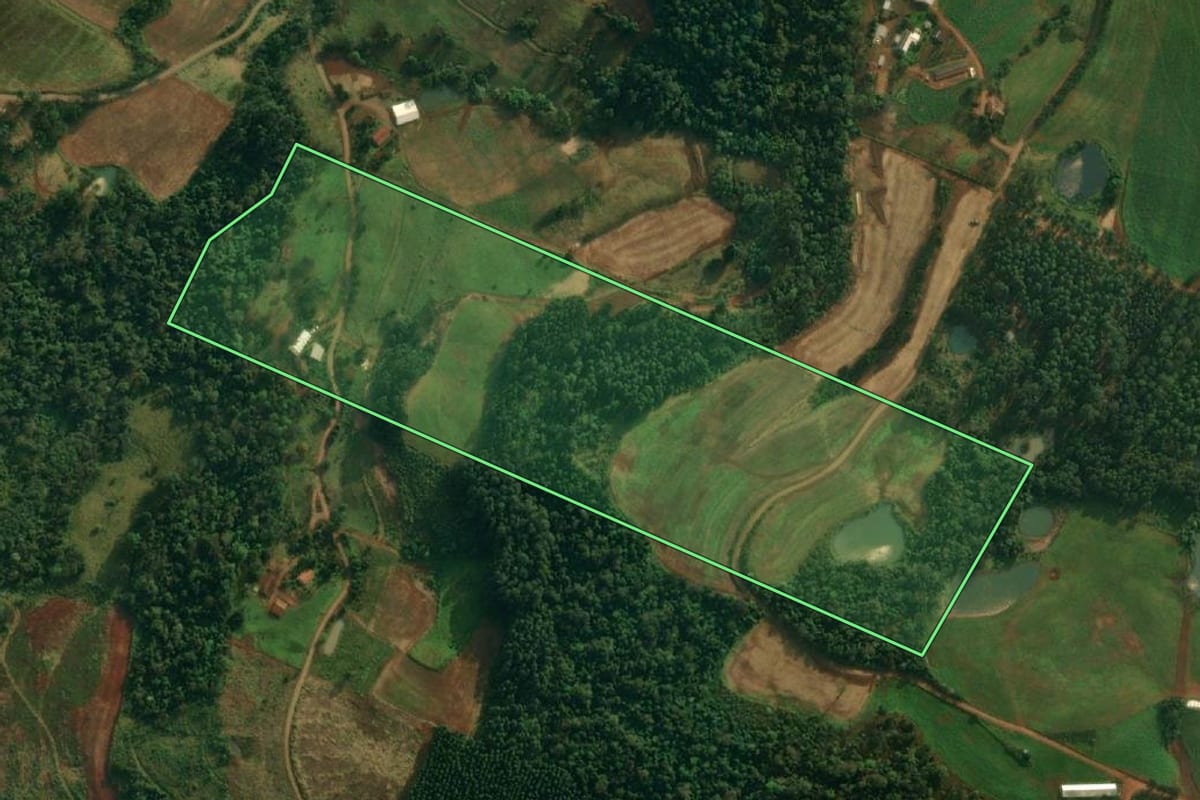 Imagem de satélite do imóvel rural em São João do Oeste (SC), com o contorno declarado no CAR desenhado por cima.