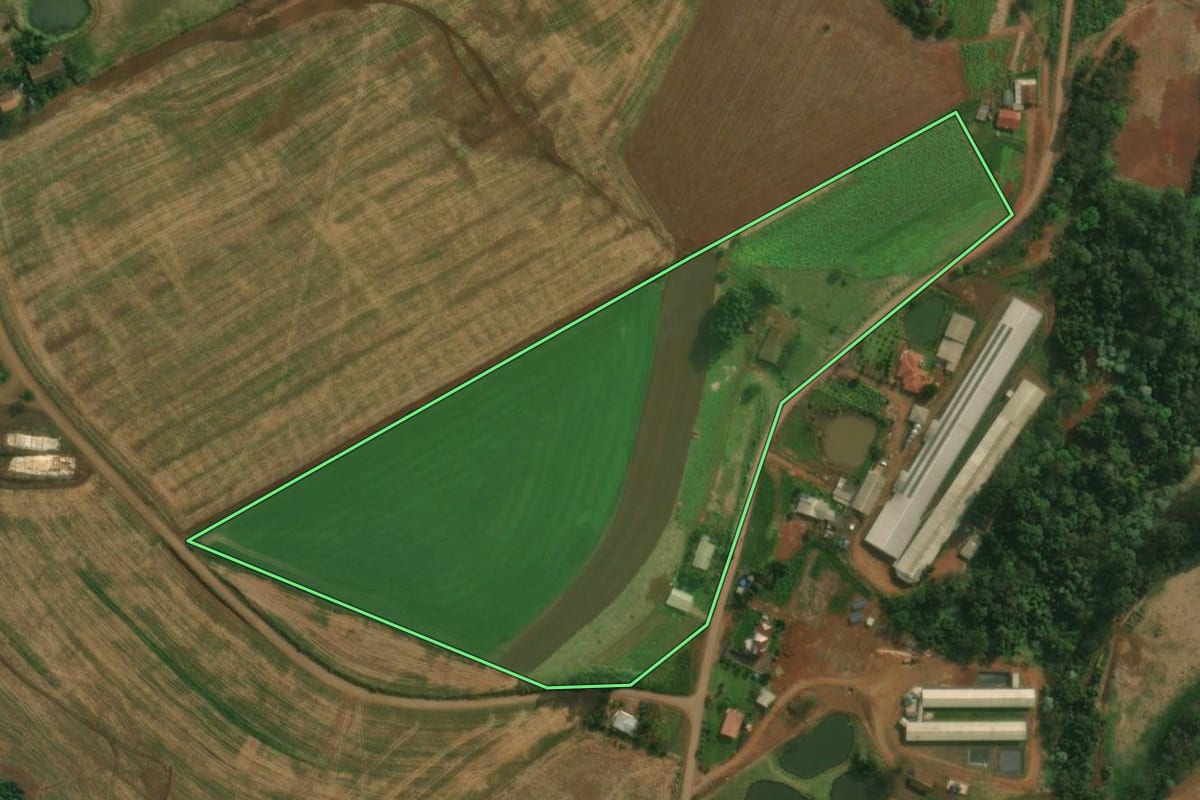 Imagem de satélite do imóvel rural em São João do Oeste (SC), com o contorno declarado no CAR desenhado por cima.