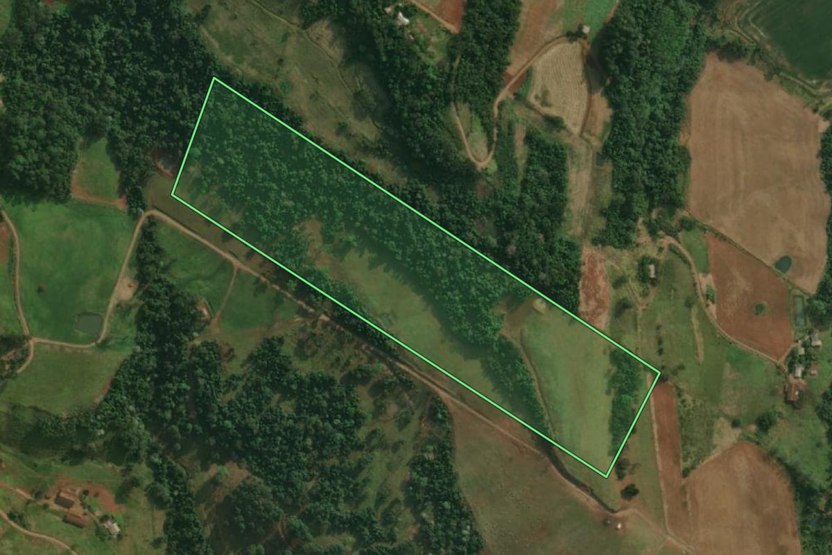 Imagem de satélite do imóvel rural em São João do Oeste (SC), com o contorno declarado no CAR desenhado por cima.