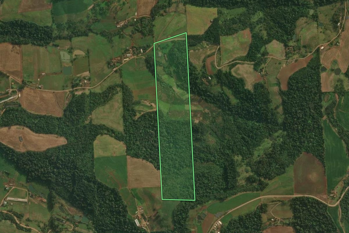 Imagem de satélite do imóvel rural em São João do Oeste (SC), com o contorno declarado no CAR desenhado por cima.