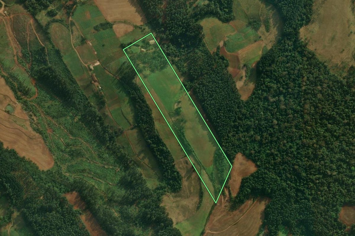 Imagem de satélite do imóvel rural em São João do Oeste (SC), com o contorno declarado no CAR desenhado por cima.