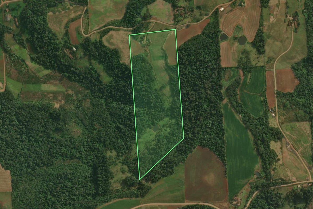 Imagem de satélite do imóvel rural em São João do Oeste (SC), com o contorno declarado no CAR desenhado por cima.
