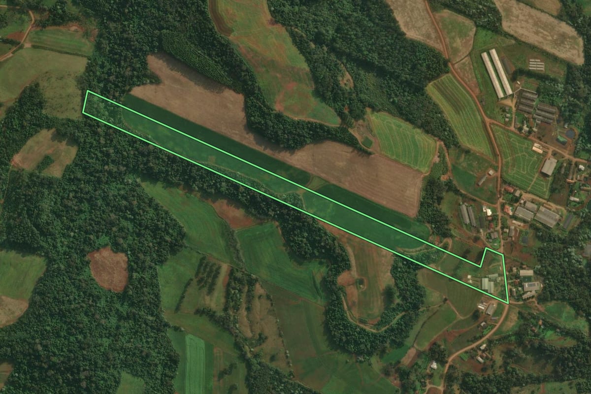 Imagem de satélite do imóvel rural em São João do Oeste (SC), com o contorno declarado no CAR desenhado por cima.