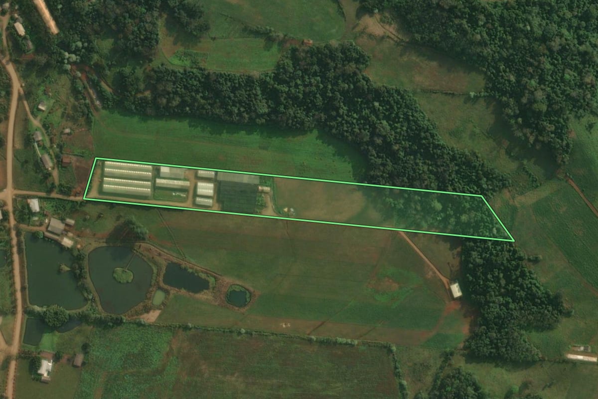 Imagem de satélite do imóvel rural em São João do Oeste (SC), com o contorno declarado no CAR desenhado por cima.