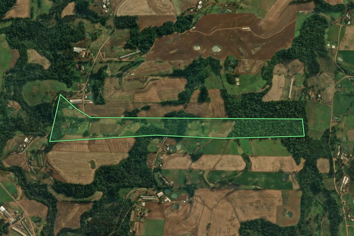 Imagem de satélite do imóvel rural em São João do Oeste (SC), com o contorno declarado no CAR desenhado por cima.