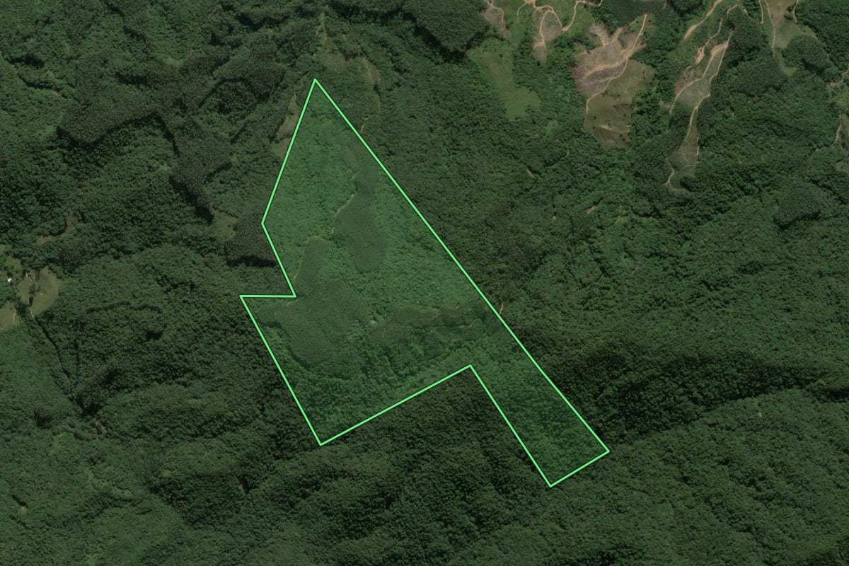 Imagem de satélite do imóvel rural em São João Batista (SC), com o contorno declarado no CAR desenhado por cima.