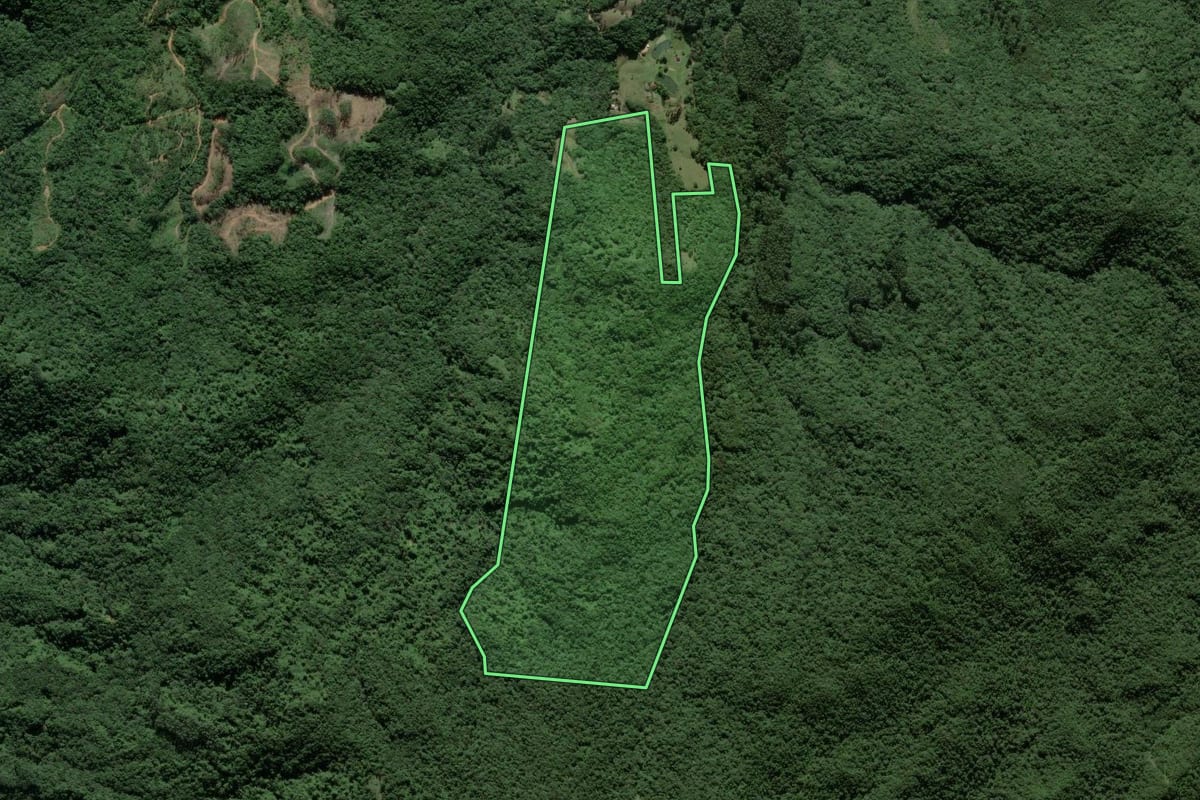 Imagem de satélite do imóvel rural em São João Batista (SC), com o contorno declarado no CAR desenhado por cima.