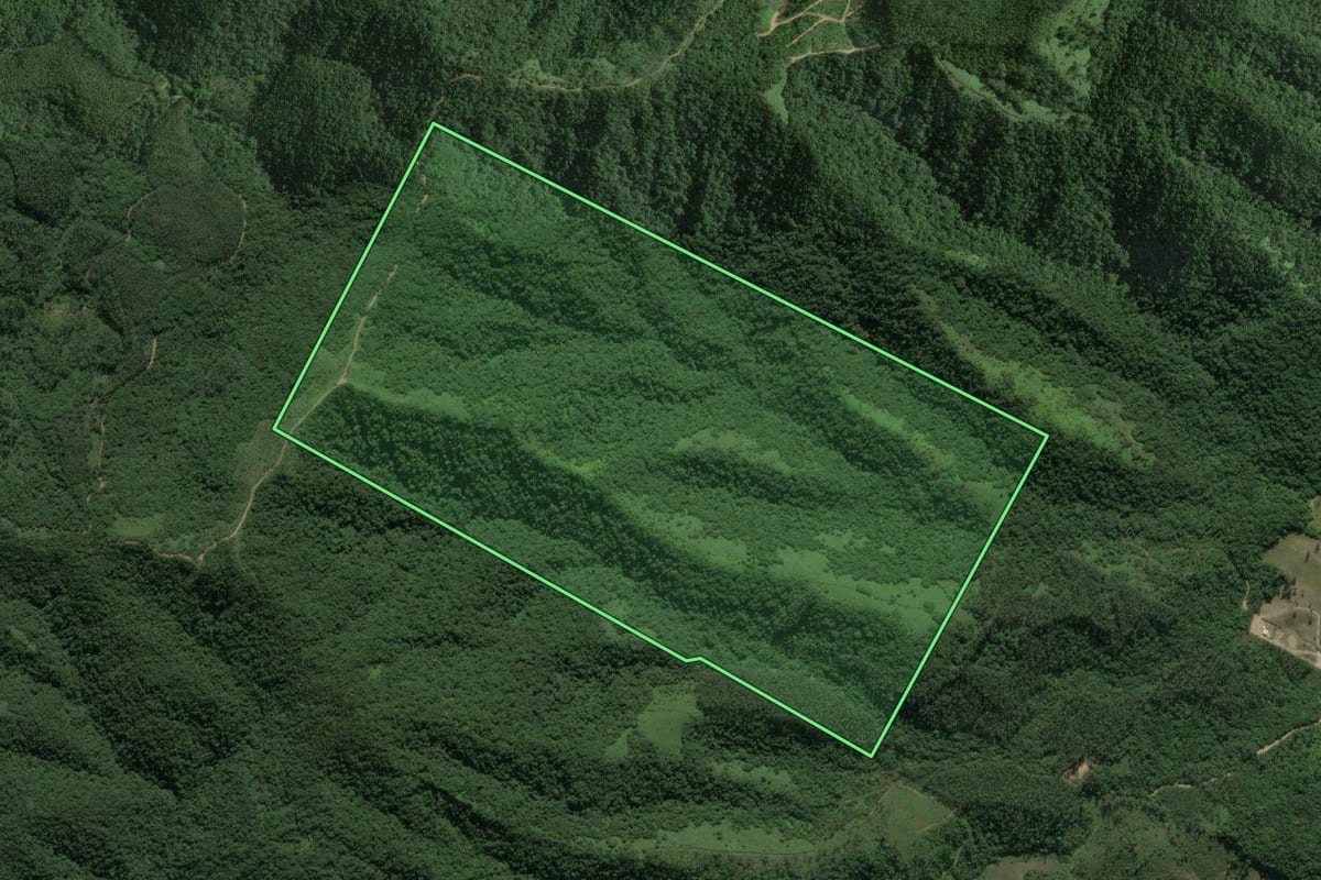Imagem de satélite do imóvel rural em São João Batista (SC), com o contorno declarado no CAR desenhado por cima.