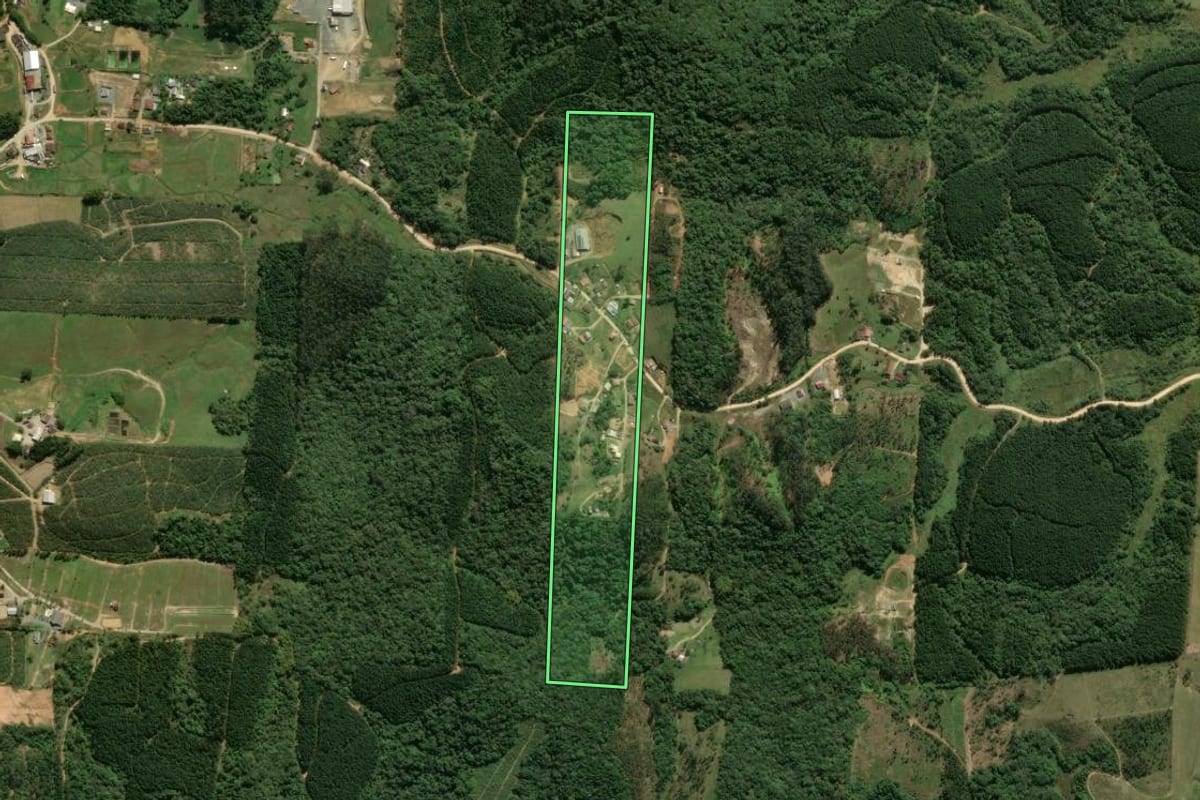 Imagem de satélite do imóvel rural em São João do Itaperiú (SC), com o contorno declarado no CAR desenhado por cima.