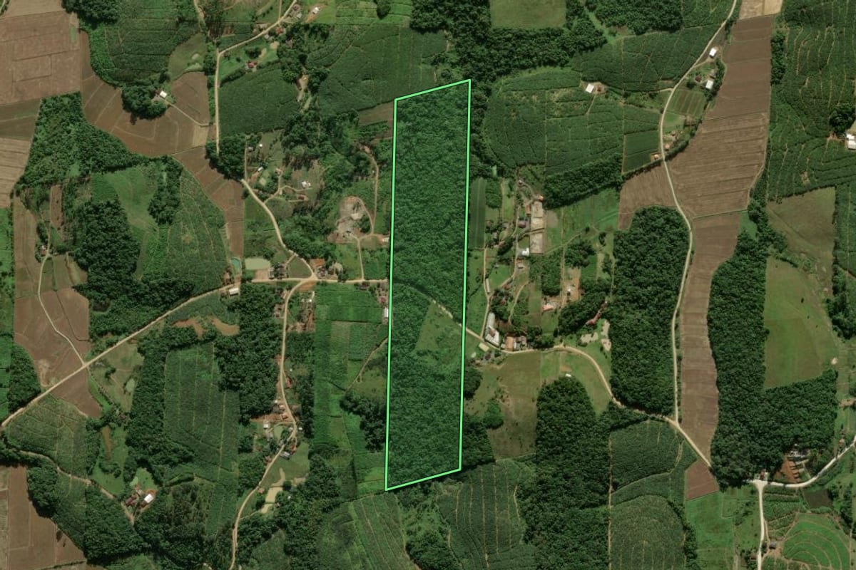 Imagem de satélite do imóvel rural em São João do Itaperiú (SC), com o contorno declarado no CAR desenhado por cima.