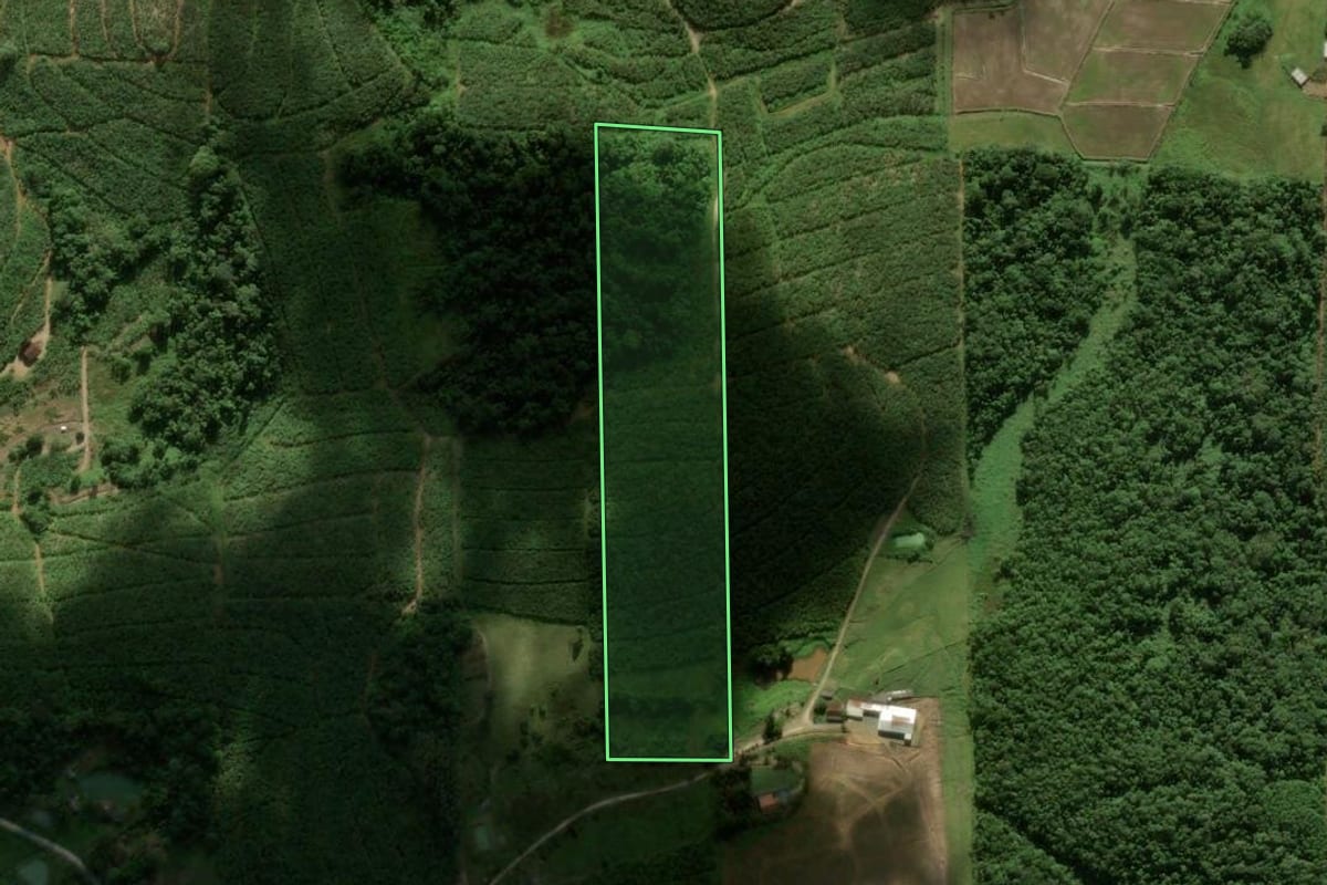 Imagem de satélite do imóvel rural em São João do Itaperiú (SC), com o contorno declarado no CAR desenhado por cima.