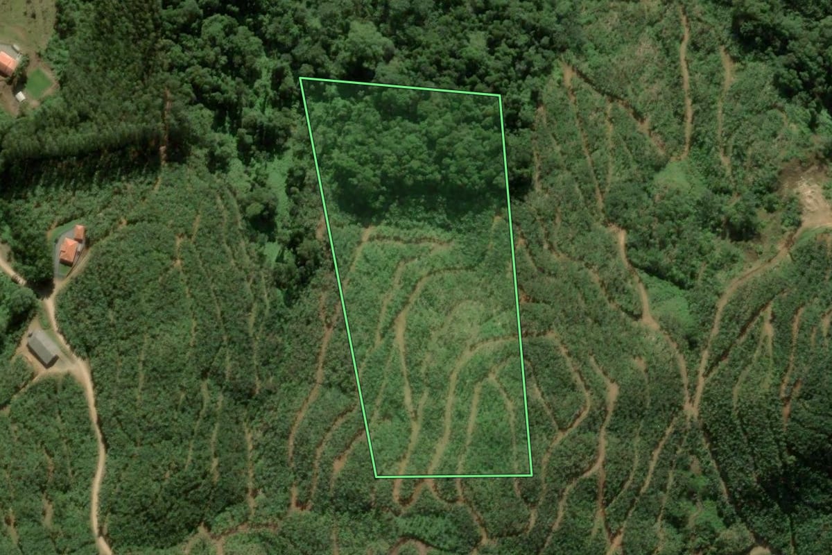 Imagem de satélite do imóvel rural em São João do Itaperiú (SC), com o contorno declarado no CAR desenhado por cima.