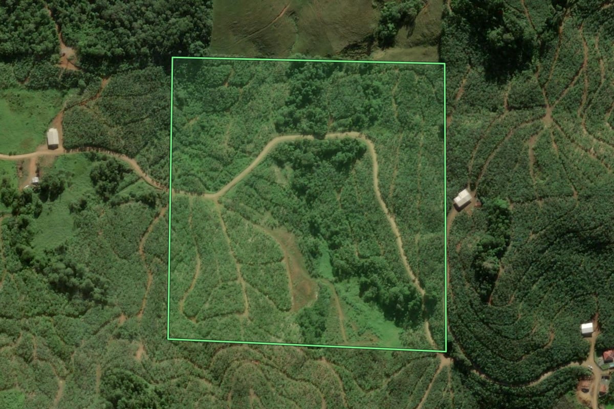Imagem de satélite do imóvel rural em São João do Itaperiú (SC), com o contorno declarado no CAR desenhado por cima.