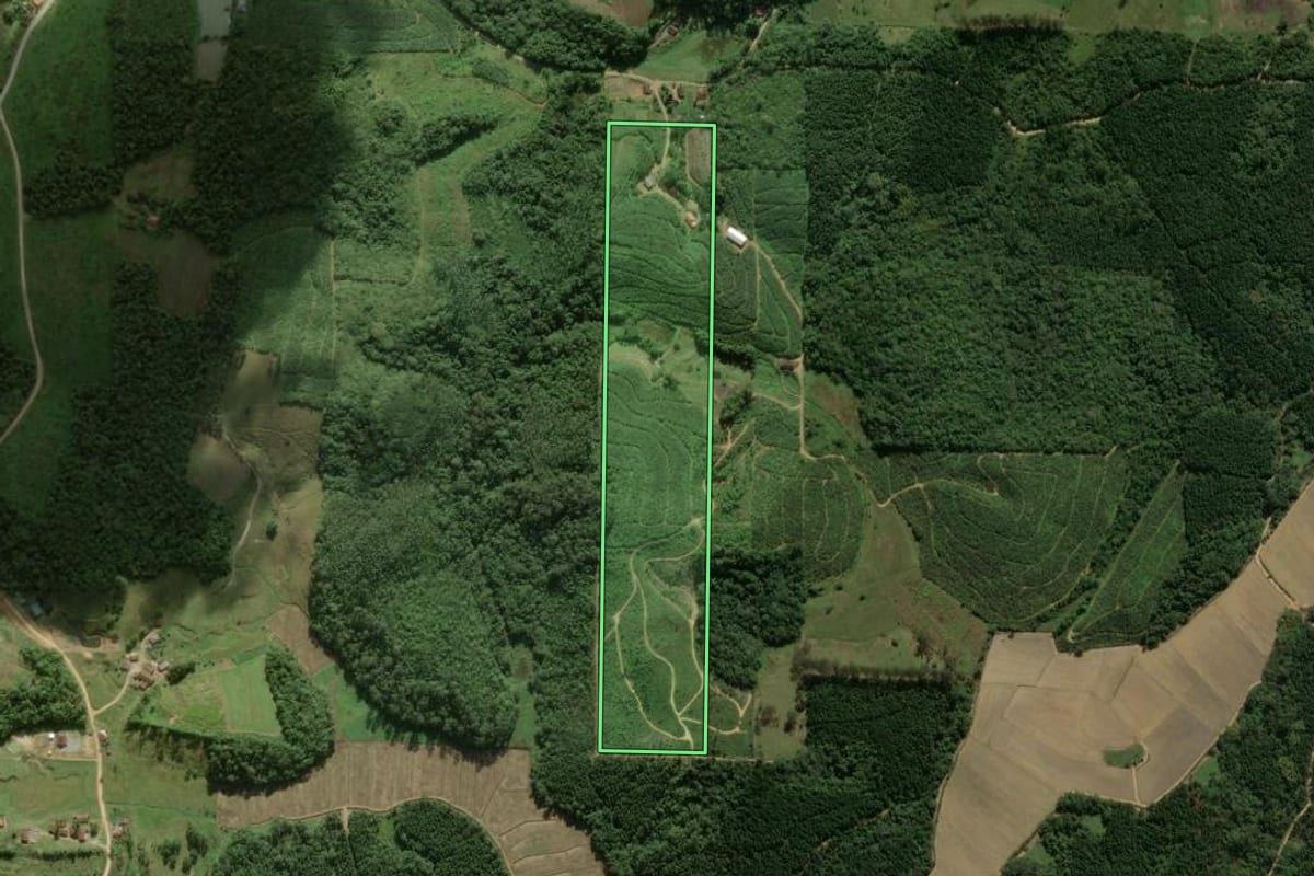 Imagem de satélite do imóvel rural em São João do Itaperiú (SC), com o contorno declarado no CAR desenhado por cima.