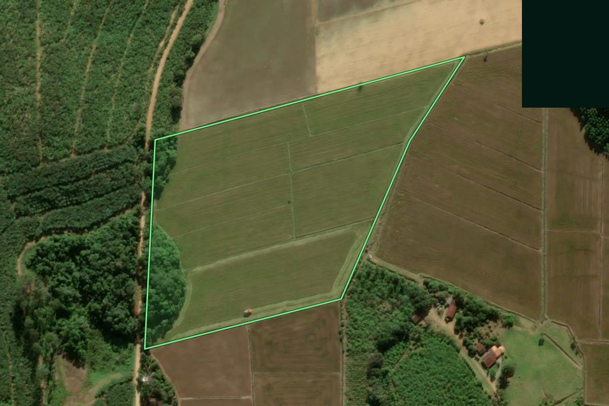 Imagem de satélite do imóvel rural em São João do Itaperiú (SC), com o contorno declarado no CAR desenhado por cima.