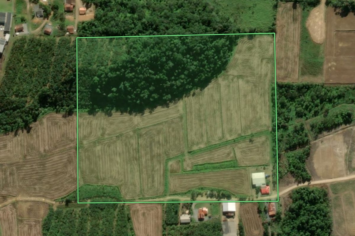 Imagem de satélite do imóvel rural em São João do Itaperiú (SC), com o contorno declarado no CAR desenhado por cima.