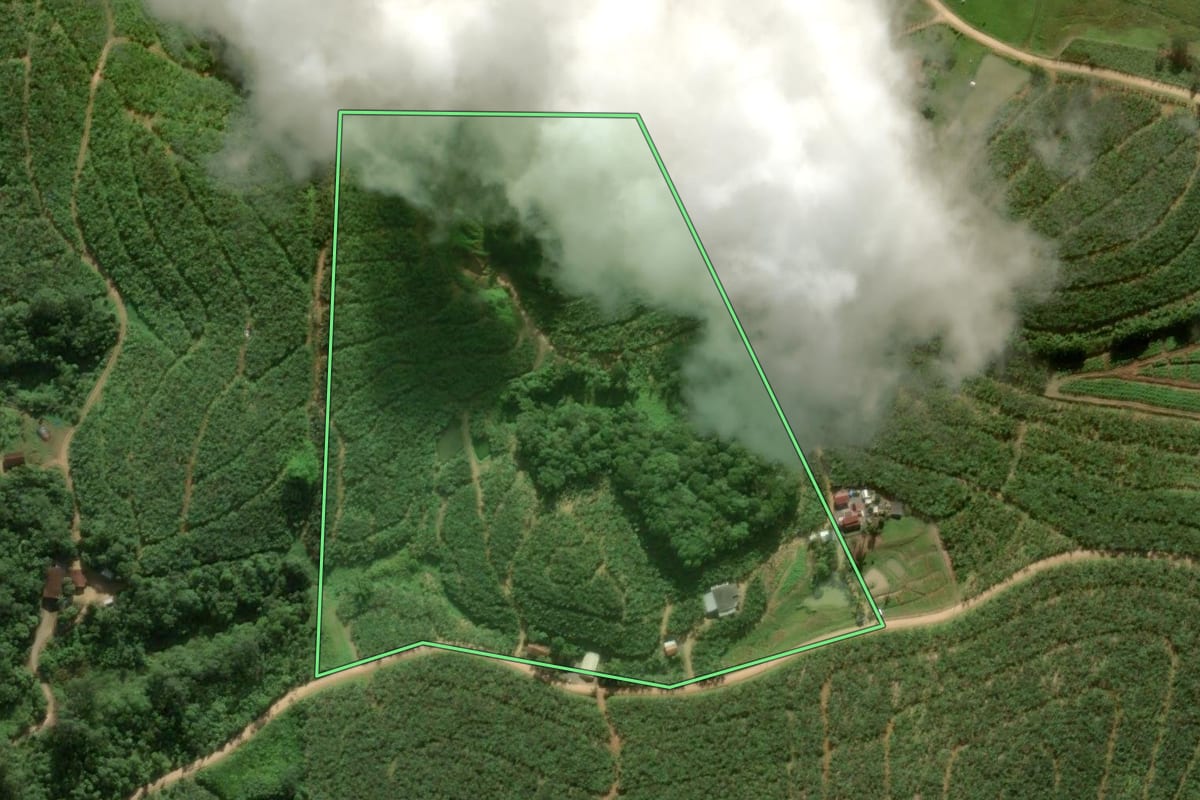 Imagem de satélite do imóvel rural em São João do Itaperiú (SC), com o contorno declarado no CAR desenhado por cima.