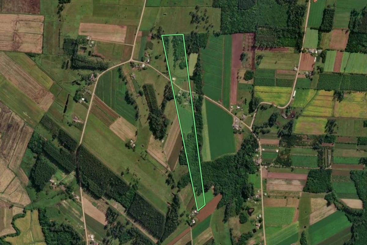 Imagem de satélite do imóvel rural em São João do Sul (SC), com o contorno declarado no CAR desenhado por cima.