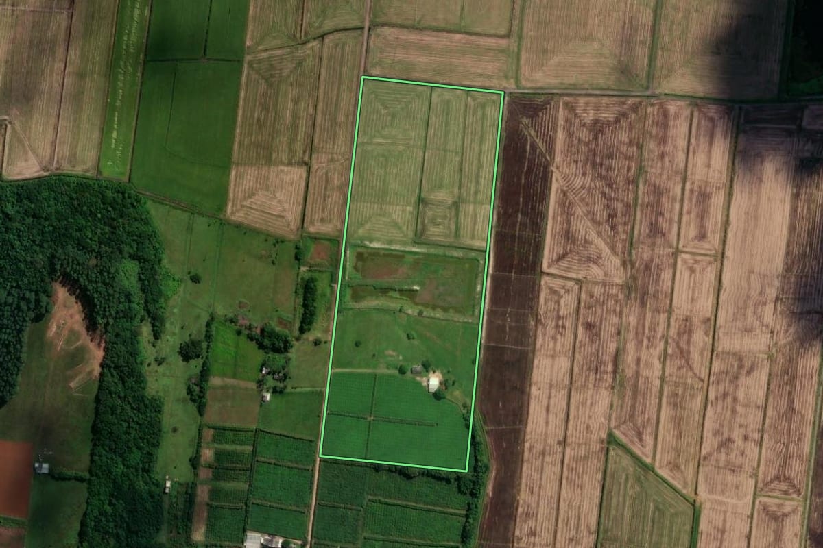Imagem de satélite do imóvel rural em São João do Sul (SC), com o contorno declarado no CAR desenhado por cima.