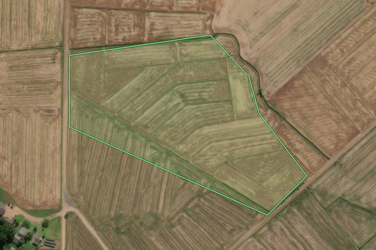 Imagem de satélite do imóvel rural em São João do Sul (SC), com o contorno declarado no CAR desenhado por cima.