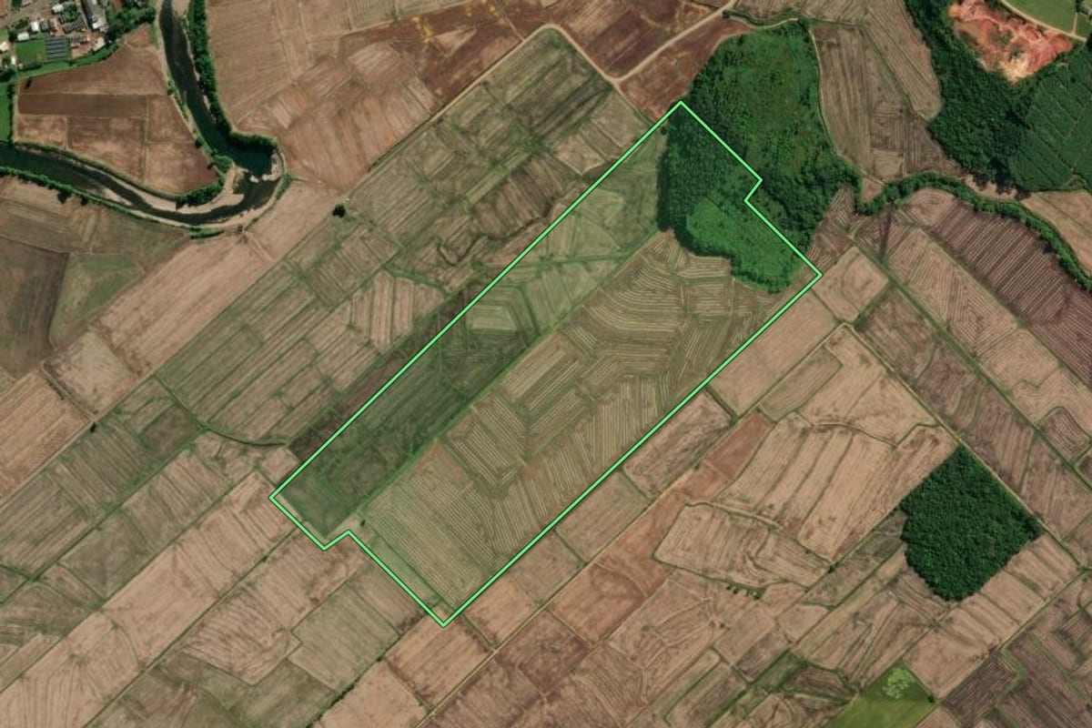 Imagem de satélite do imóvel rural em São João do Sul (SC), com o contorno declarado no CAR desenhado por cima.