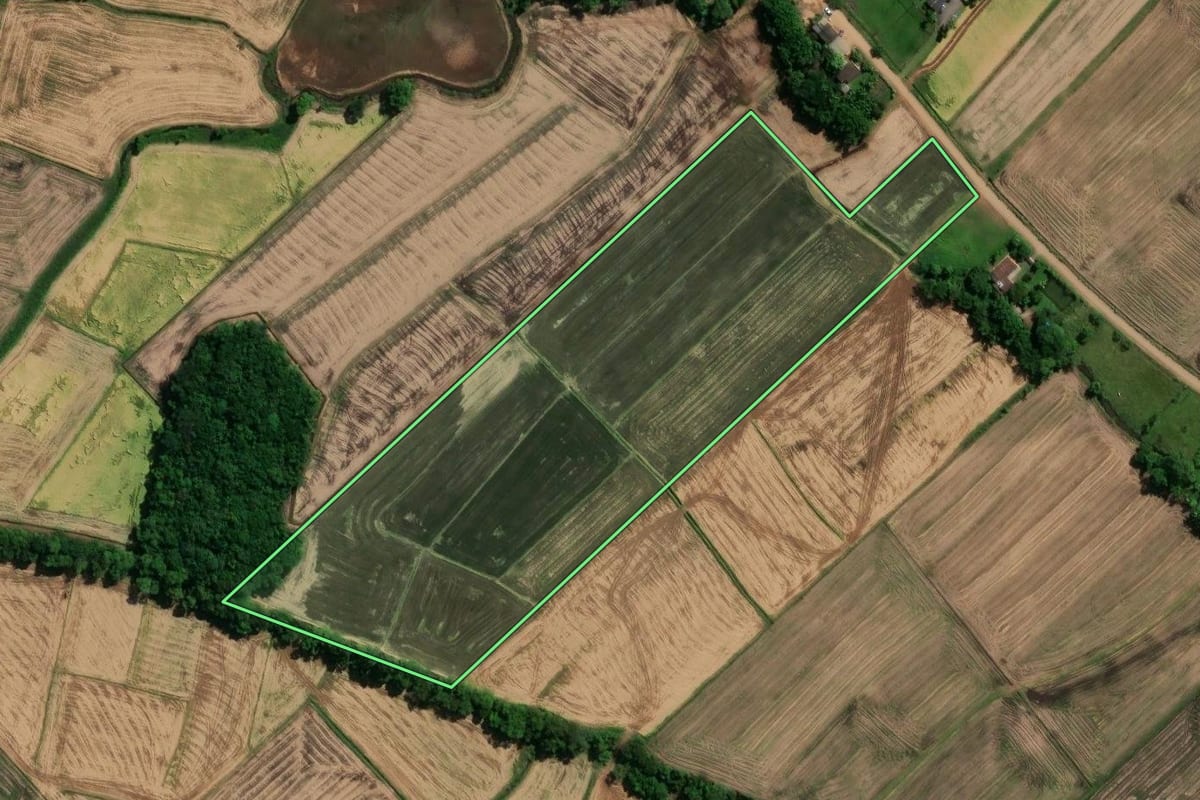 Imagem de satélite do imóvel rural em São João do Sul (SC), com o contorno declarado no CAR desenhado por cima.