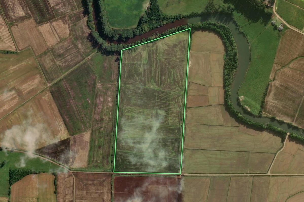 Imagem de satélite do imóvel rural em São João do Sul (SC), com o contorno declarado no CAR desenhado por cima.