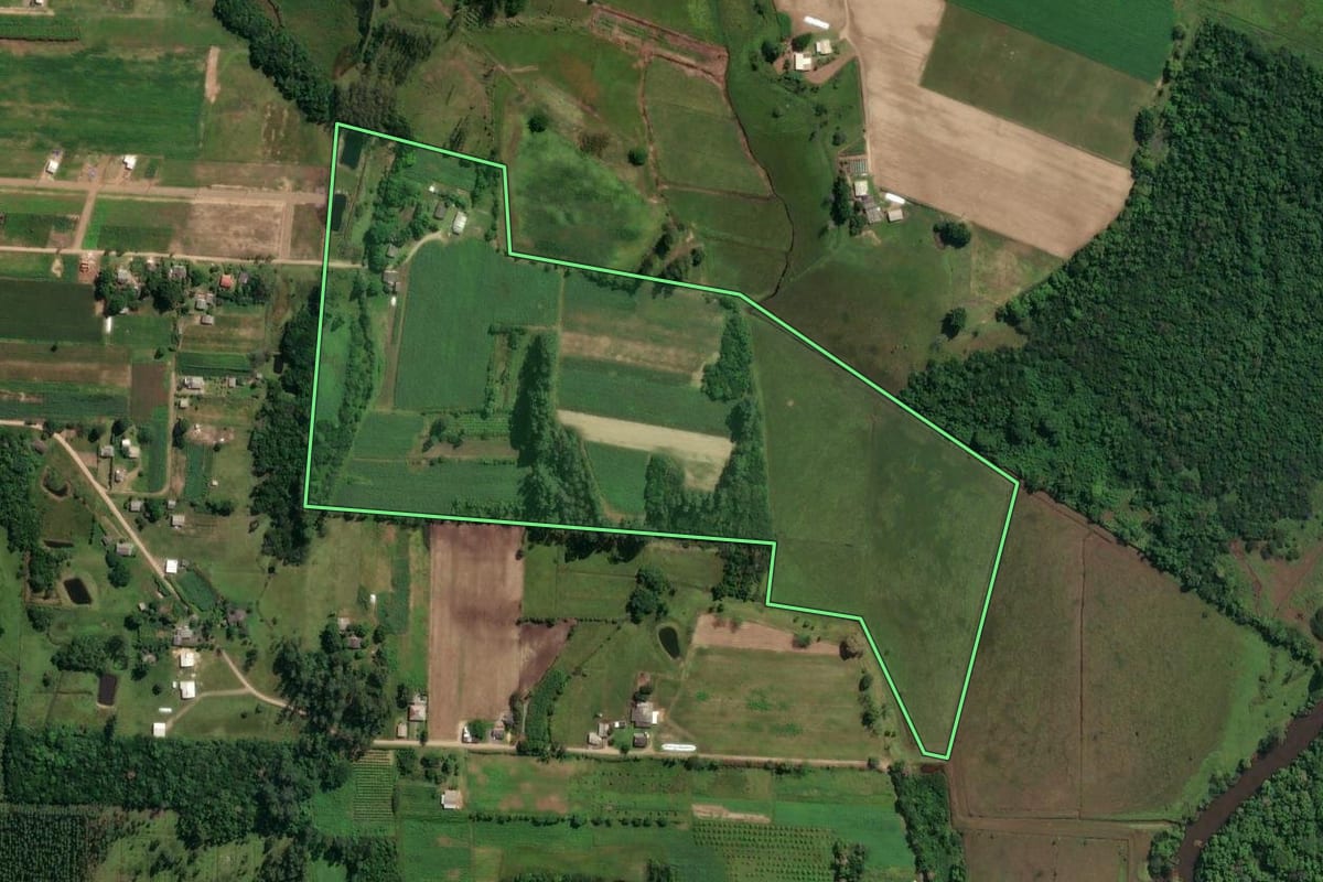 Imagem de satélite do imóvel rural em São João do Sul (SC), com o contorno declarado no CAR desenhado por cima.