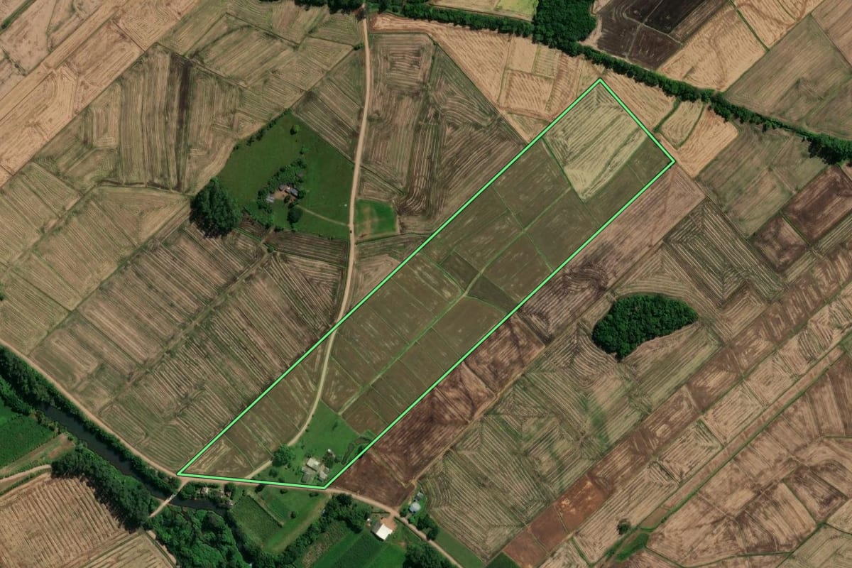 Imagem de satélite do imóvel rural em São João do Sul (SC), com o contorno declarado no CAR desenhado por cima.