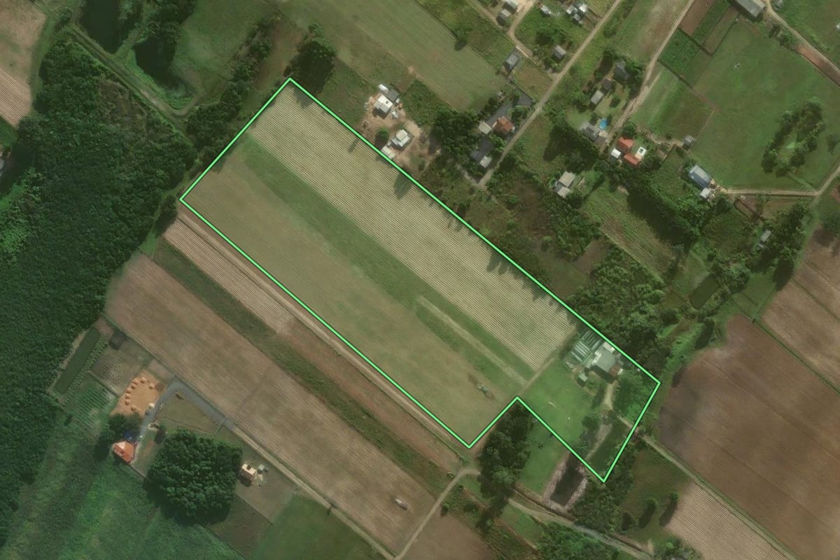 Imagem de satélite do imóvel rural em São João do Sul (SC), com o contorno declarado no CAR desenhado por cima.
