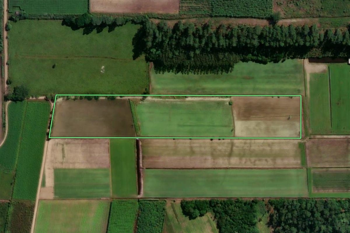Imagem de satélite do imóvel rural em São João do Sul (SC), com o contorno declarado no CAR desenhado por cima.