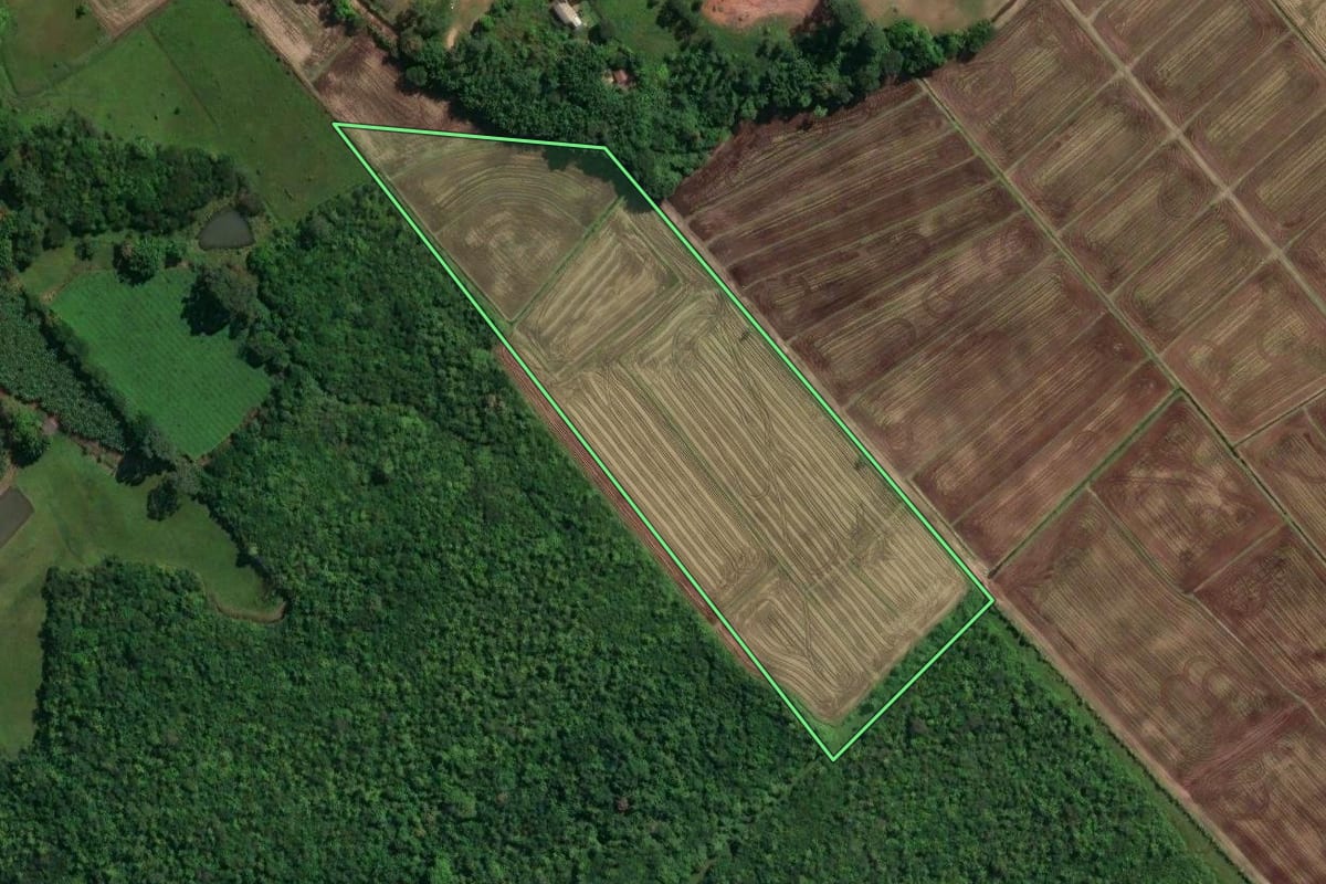 Imagem de satélite do imóvel rural em São João do Sul (SC), com o contorno declarado no CAR desenhado por cima.