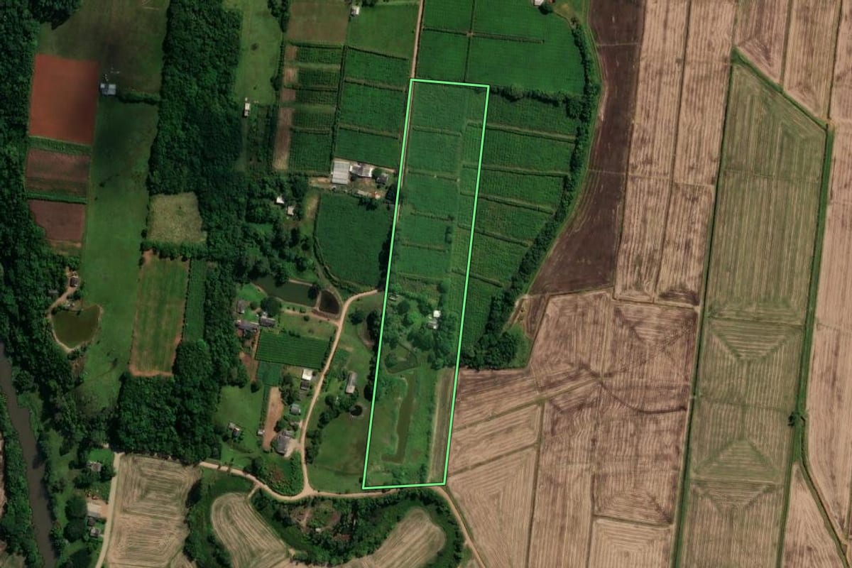 Imagem de satélite do imóvel rural em São João do Sul (SC), com o contorno declarado no CAR desenhado por cima.