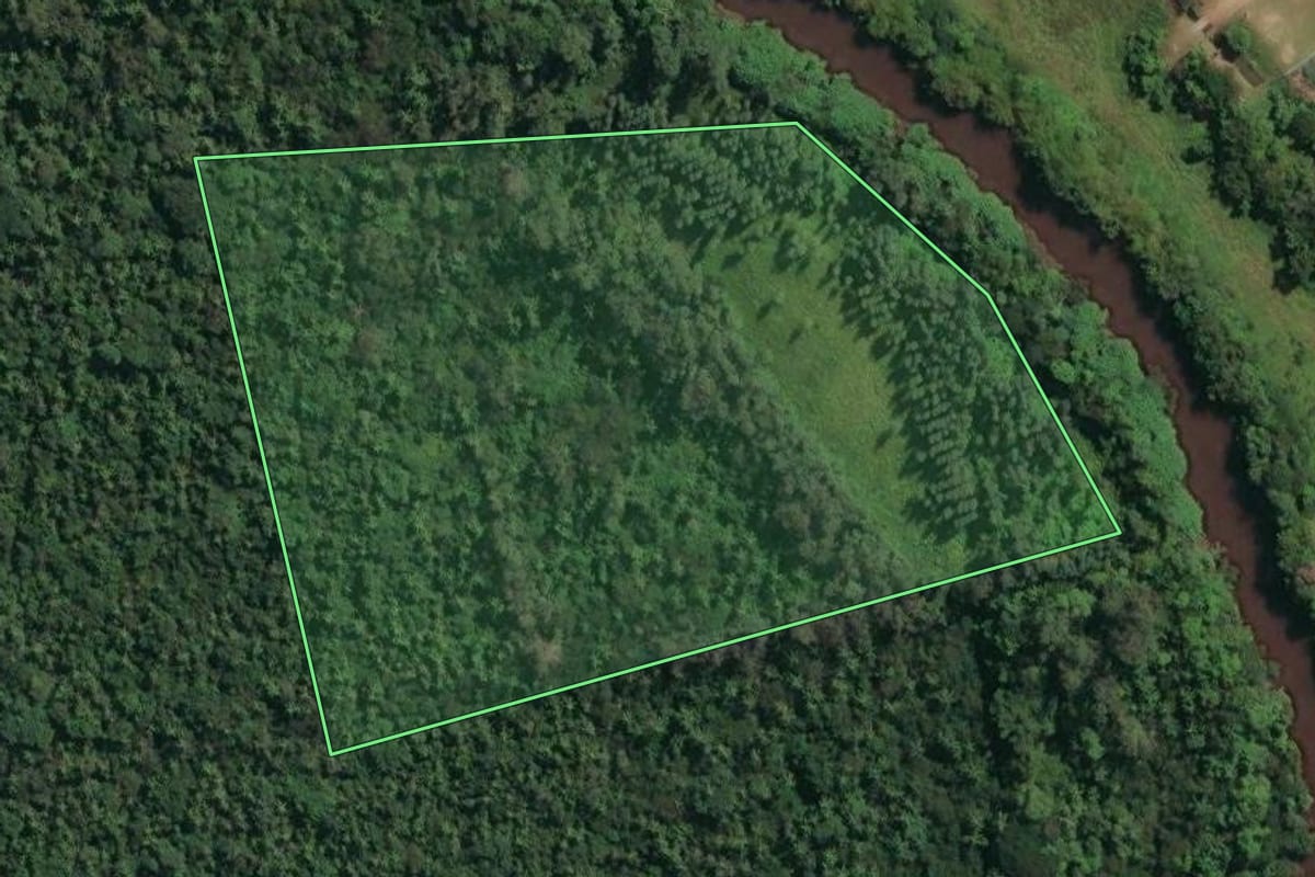 Imagem de satélite do imóvel rural em São João do Sul (SC), com o contorno declarado no CAR desenhado por cima.