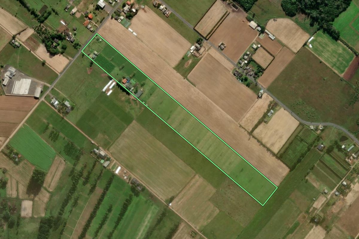 Imagem de satélite do imóvel rural em São João do Sul (SC), com o contorno declarado no CAR desenhado por cima.