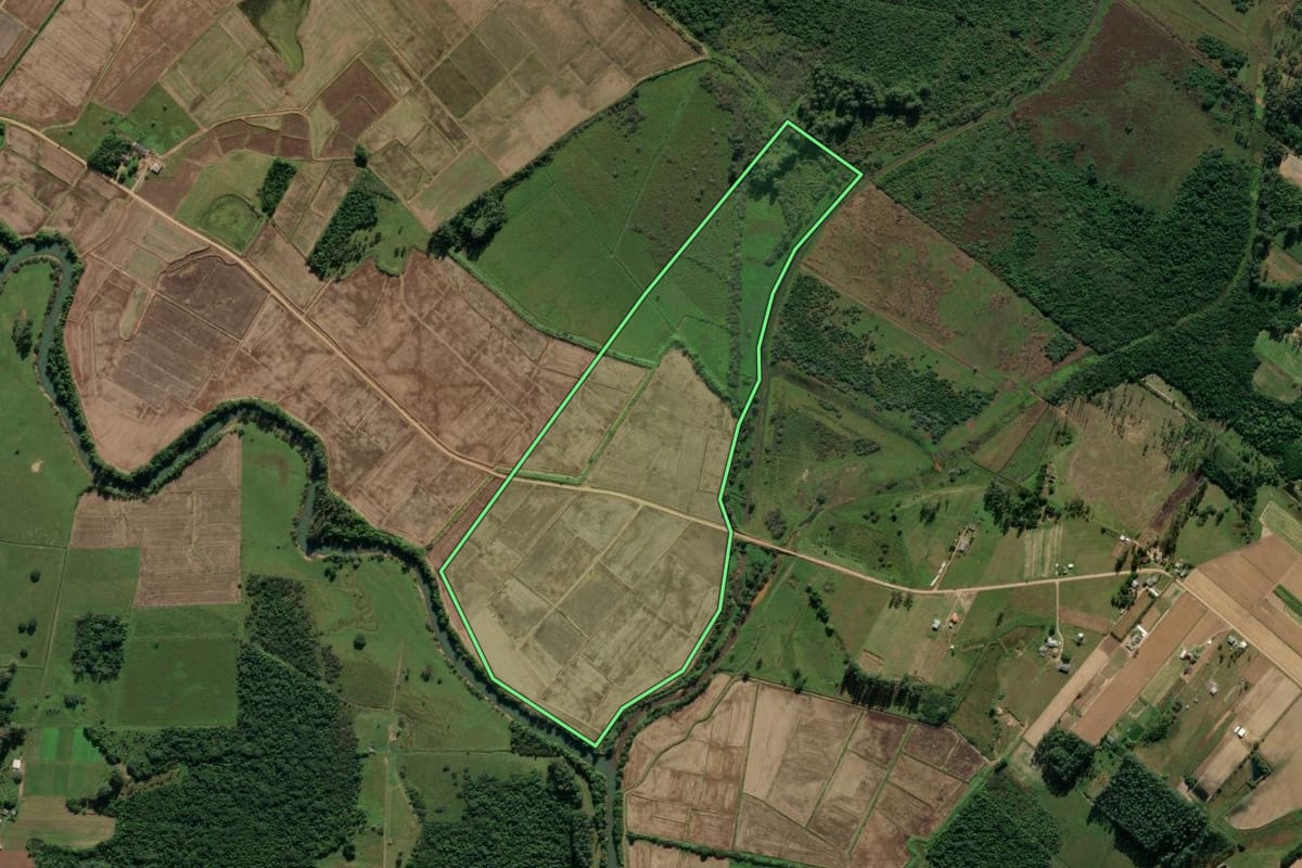Imagem de satélite do imóvel rural em São João do Sul (SC), com o contorno declarado no CAR desenhado por cima.