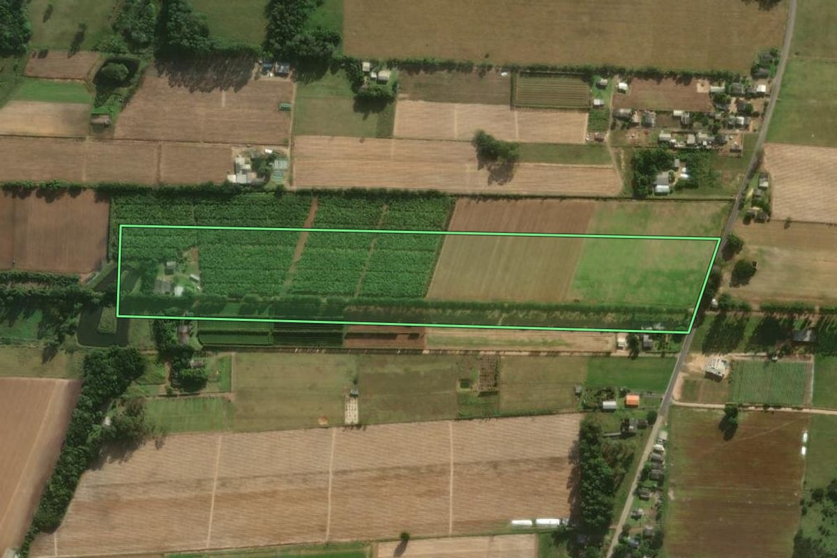 Imagem de satélite do imóvel rural em São João do Sul (SC), com o contorno declarado no CAR desenhado por cima.