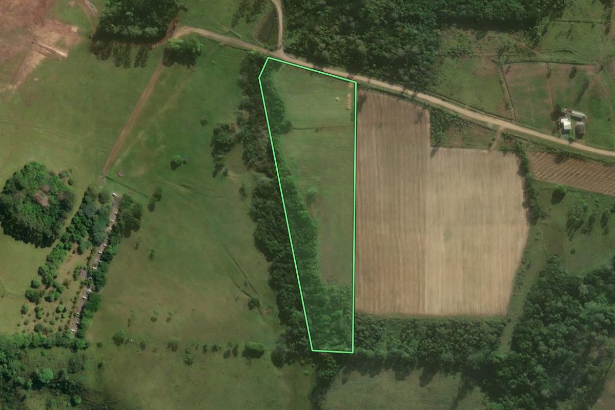 Imagem de satélite do imóvel rural em São João do Sul (SC), com o contorno declarado no CAR desenhado por cima.