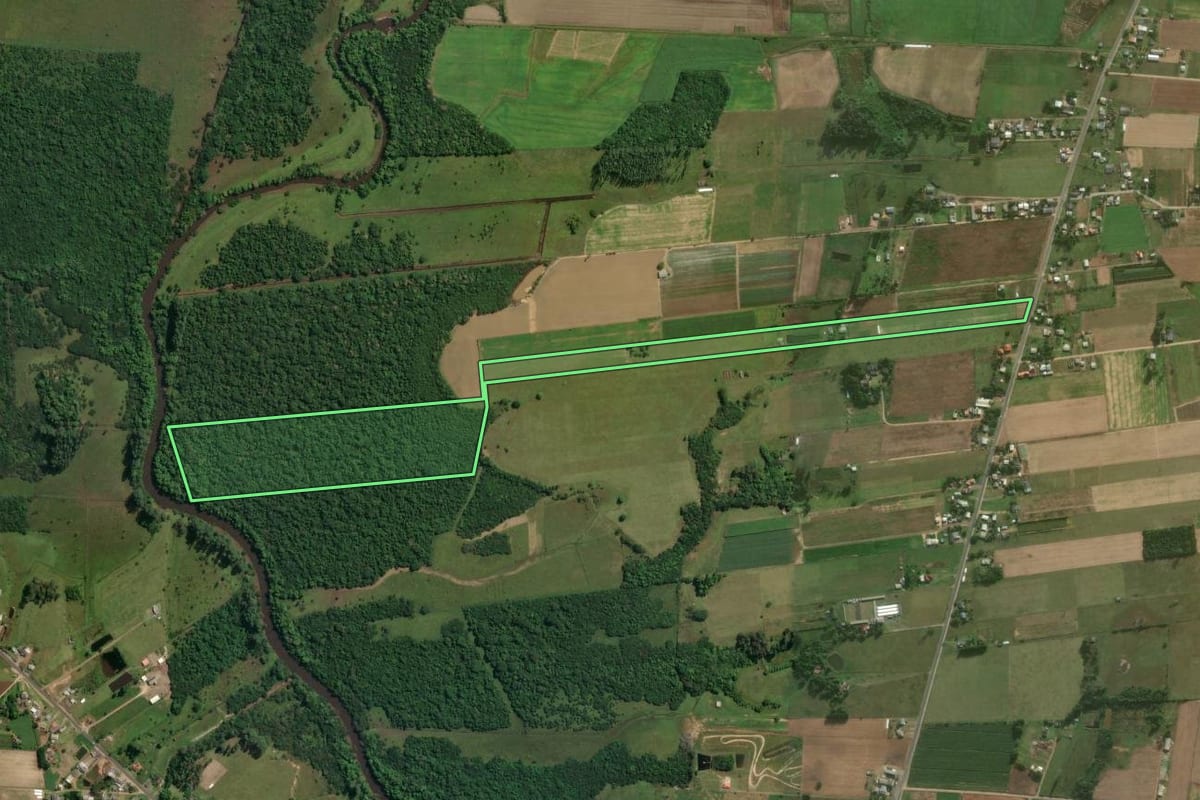Imagem de satélite do imóvel rural em São João do Sul (SC), com o contorno declarado no CAR desenhado por cima.