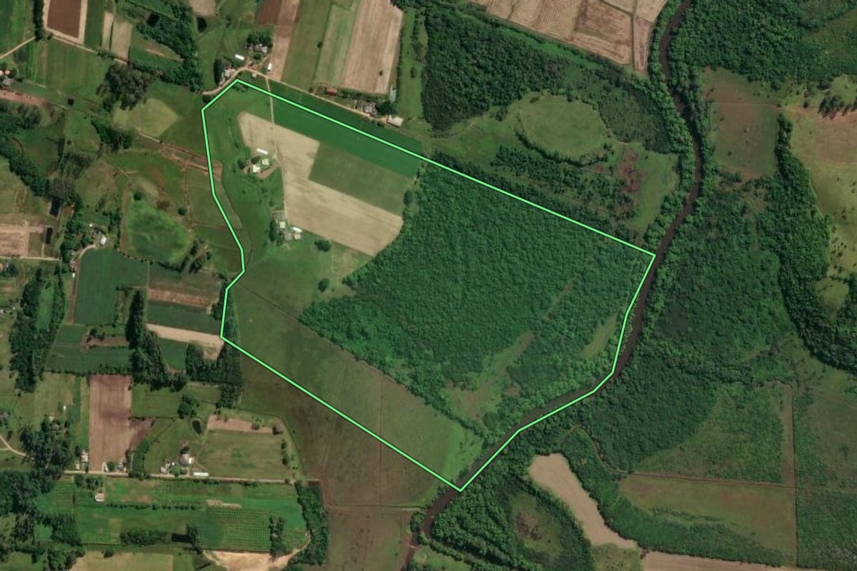 Imagem de satélite do imóvel rural em São João do Sul (SC), com o contorno declarado no CAR desenhado por cima.